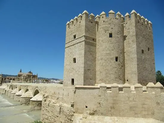Appartement Piso Con Solarium Calahorra Con Solera Parking Privado Gratis à Cordoue